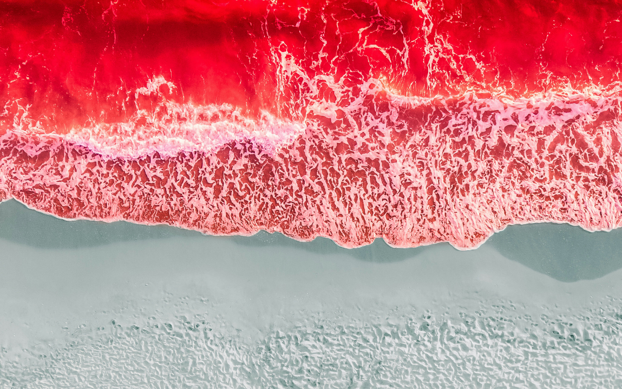 Explora el Mar Rojo: un paraíso de aventura y biodiversidad