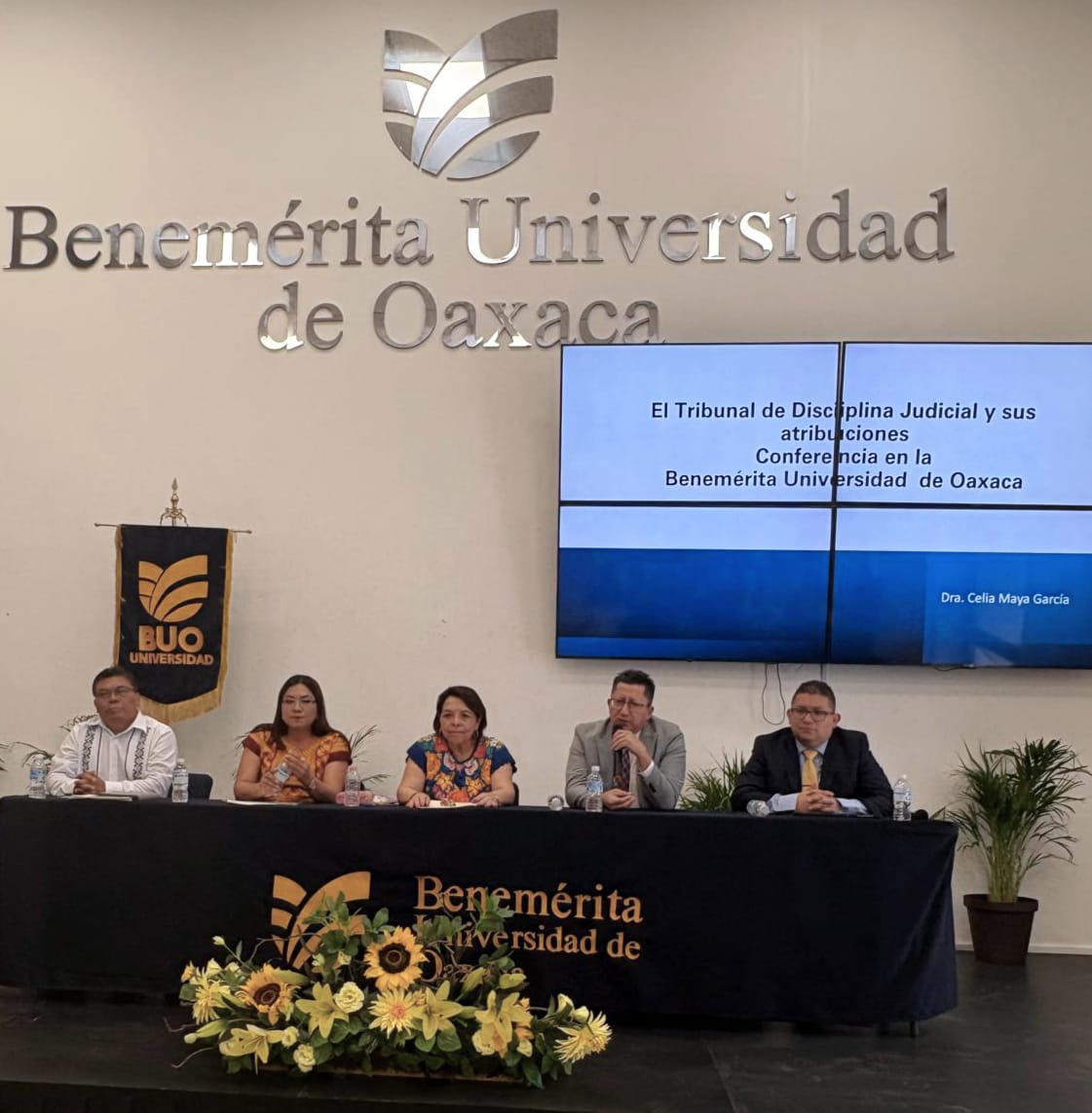 Histórica reforma judicial dará voz al pueblo: Celia Maya en Oaxaca