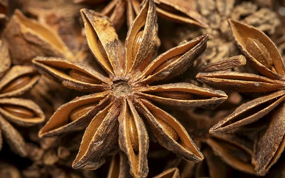 El anís: más que un remedio digestivo, un aliado antioxidante y cosmético