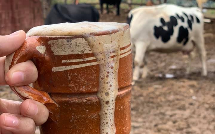 El pajarete: el polémico elixir de leche y alcohol que une a Jalisco al amanecer