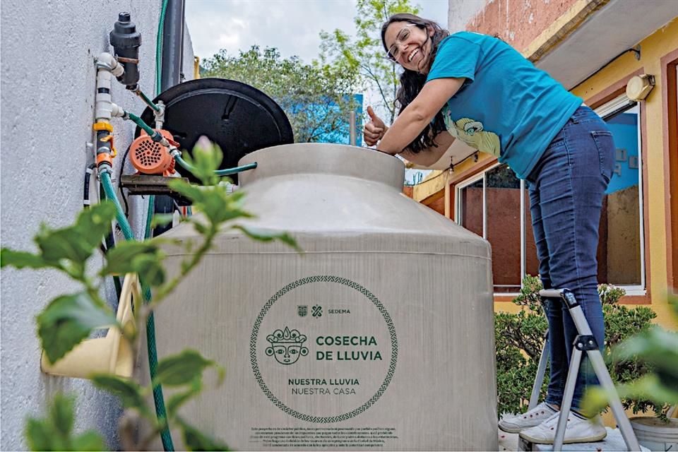 Sol, lluvia y huertos urbanos: así se construye una ciudad sustentable desde abajo