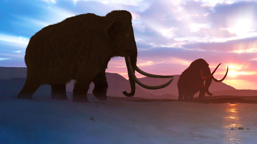 Hallan restos fósiles que revelan la dieta y vida de un mamut bebé en San Luis Potosí