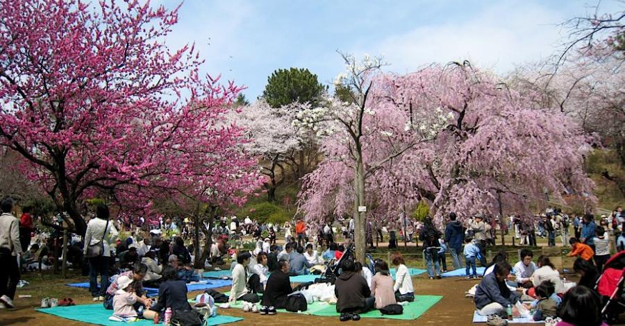 ¡Japón se vive en la CDMX! Disfruta de este festival cultural gratuito del 4 al 6 de julio