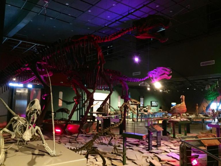 Nuevo Laredo: el destino fronterizo que sorprende con historia, naturaleza y cultura