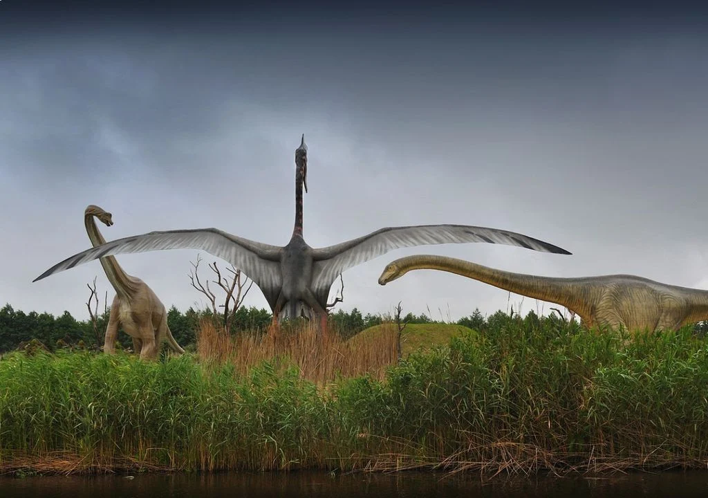 Un hueso clave en la muñeca de los dinosaurios pudo ser el primer paso hacia el vuelo de las aves