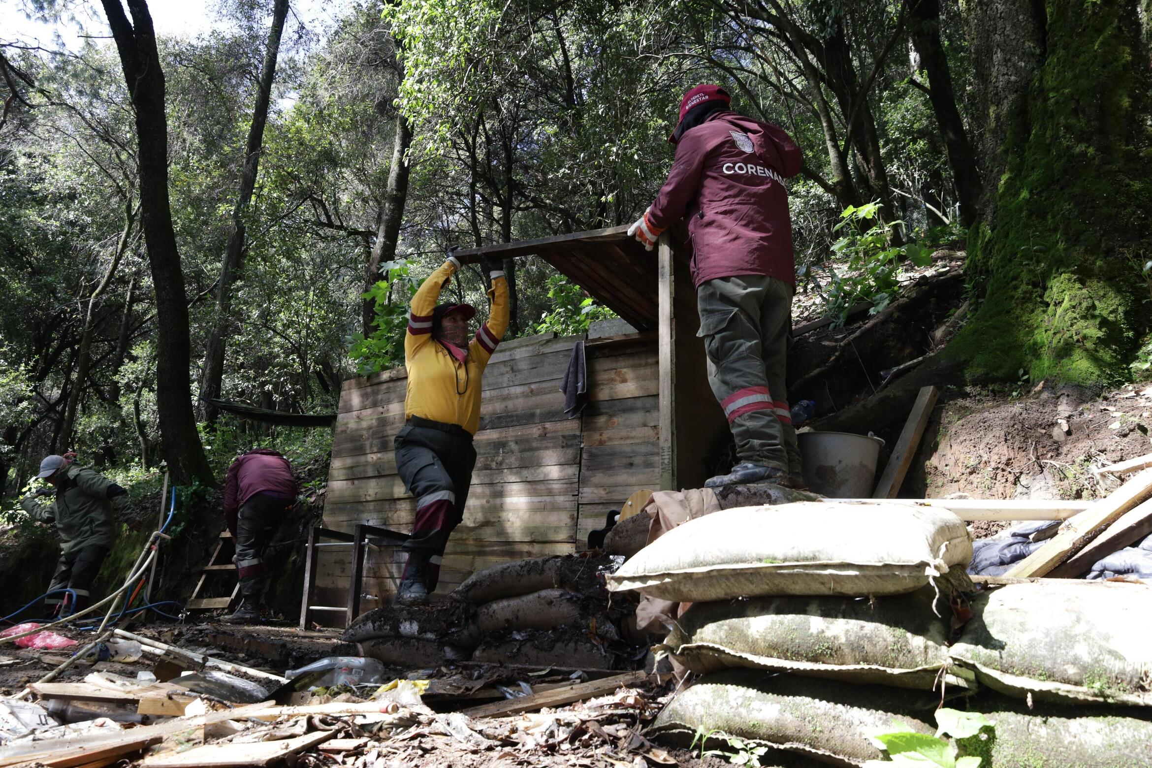 Bosque de Agua en Cuajimalpa: tierra recuperada para proteger agua y biodiversidad