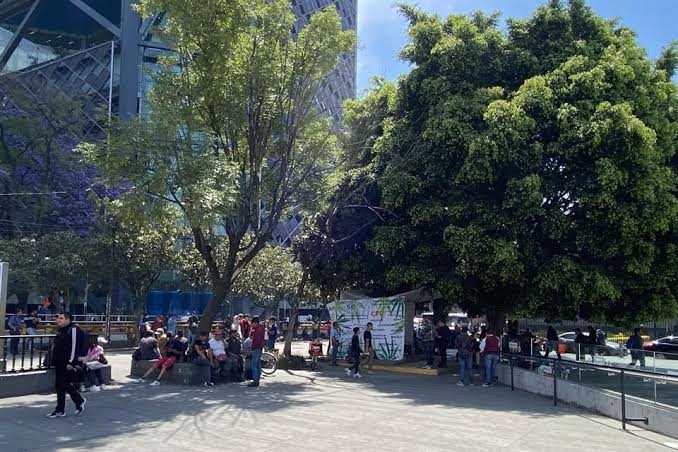 ¡Insólito! Detectan marihuana en Chapultepec y la CDMX responde con zonas 420