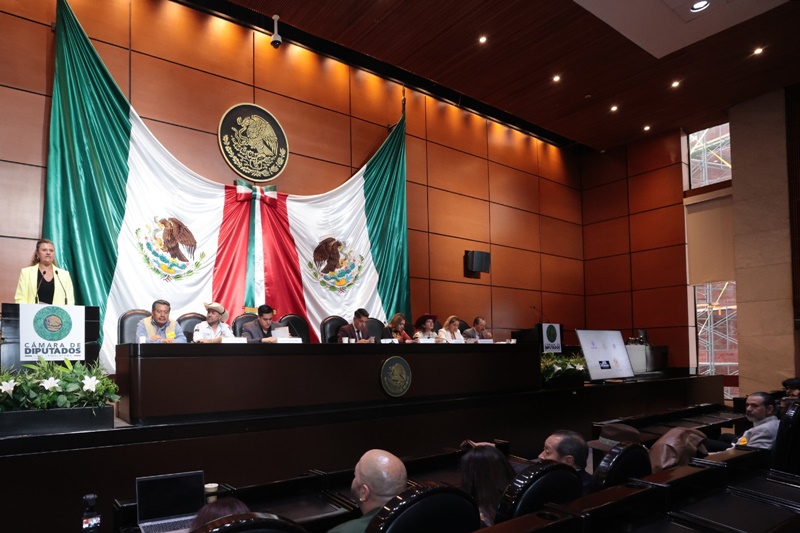 Desde la raíz: Diputados buscan justicia fiscal para los productores de mezcal”