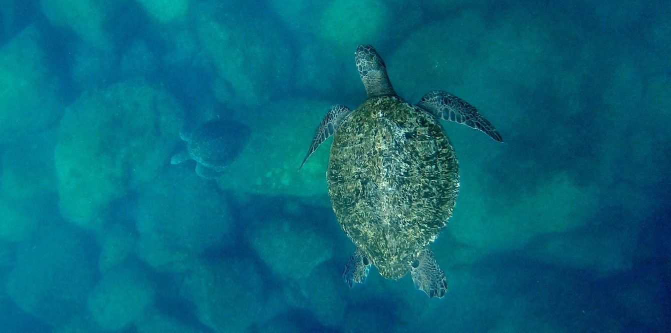 ¡No te lo pierdas! Último día de proyecciones sobre el clima en la Cineteca Chapultepec