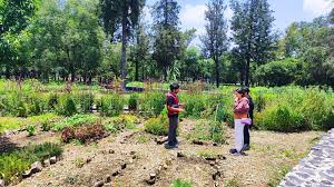 Explora la naturaleza y celebra el conocimiento en el 61 aniversario del Museo de Historia Natural