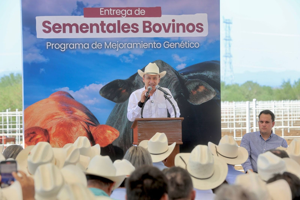 Sementales, maquinaria y créditos: la nueva etapa para la ganadería sonorense