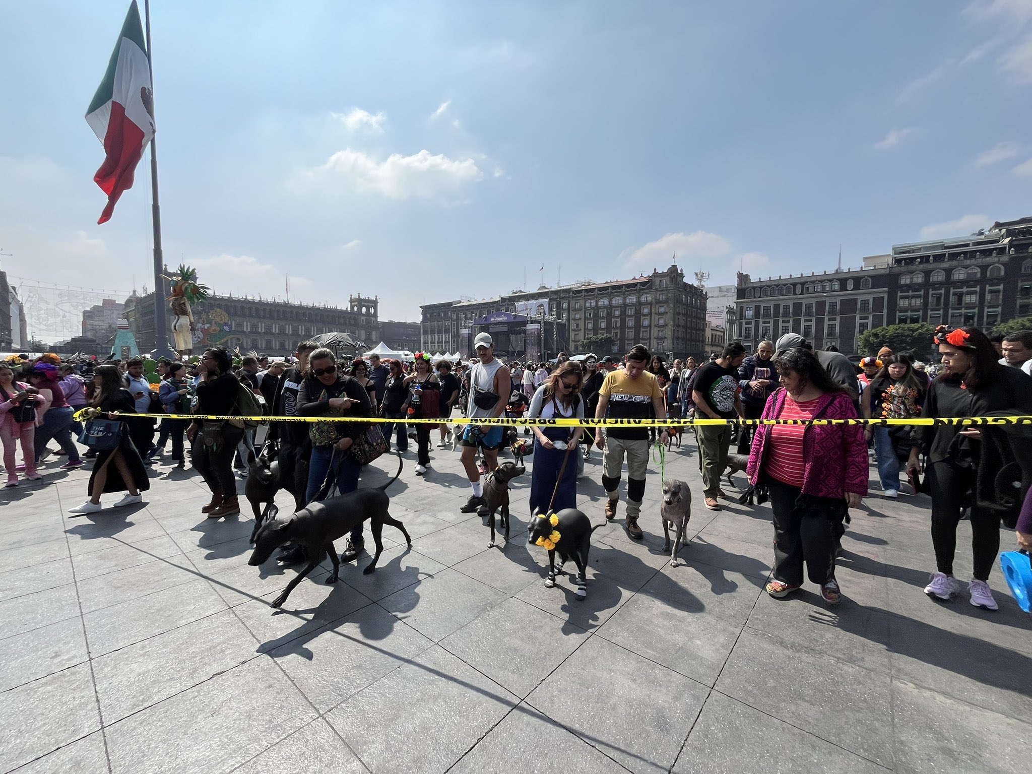El xoloitzcuintle volvió al corazón del Centro Histórico con la Caminata hacia el Mictlán
