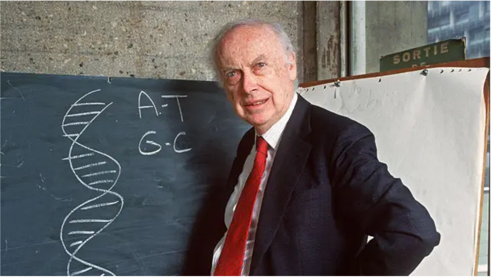 Muere James Watson, el científico que descifró el ADN y cuya carrera quedó marcada por comentarios racistas