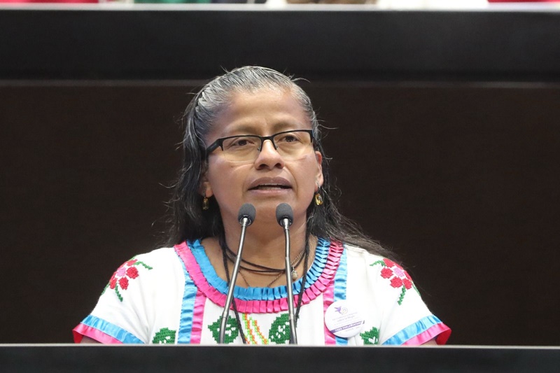 Irma Juan Carlos y María Rosete impulsan ley nacional de bienestar animal