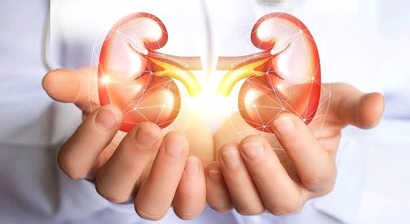 La Enfermedad Renal Crónica en México; un reto para la salud pública