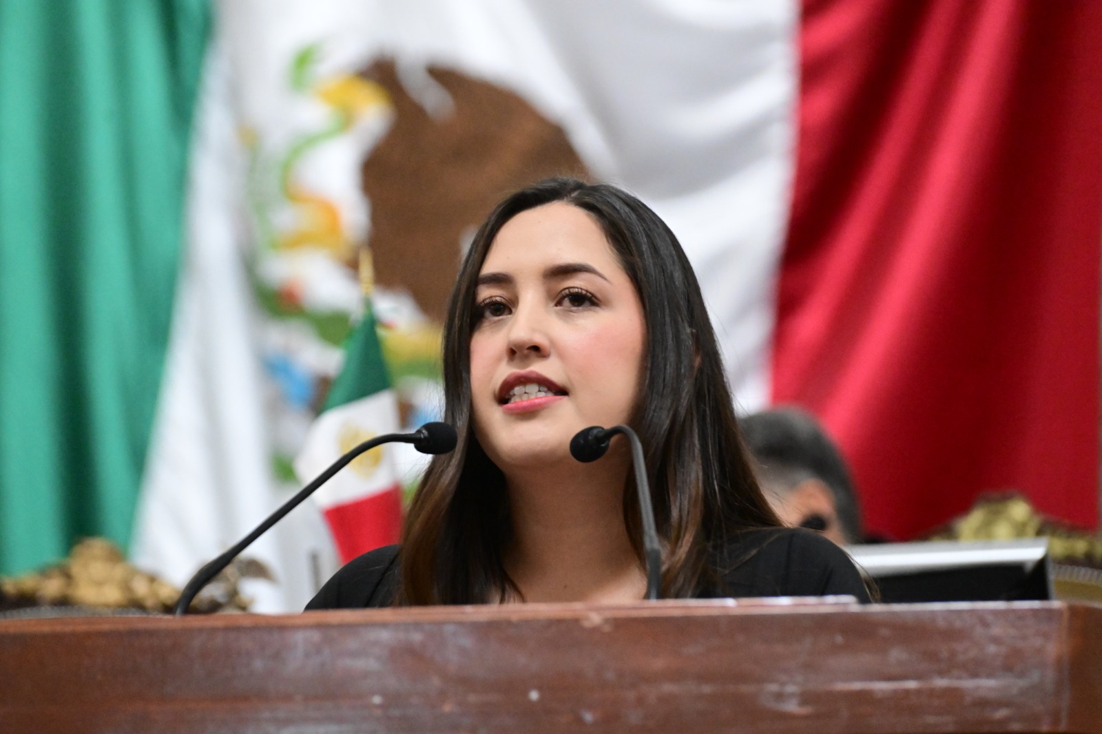 Rumbo al Mundial 2026: piden adaptar el Tren Ligero para garantizar movilidad a personas con discapacidad