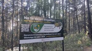 “Ritual del Agua” incumple ley ambiental y podría afectar biodiversidad en Cuemanco